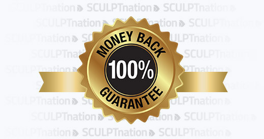 Image of 100% Money-back guarantee logo